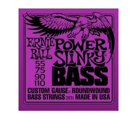 Ernie Ball 2831