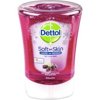 Dettol 250ml lesní plody
