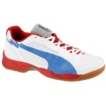 PUMA Evospeed Indoor 5