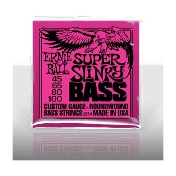 Ernie Ball P02834