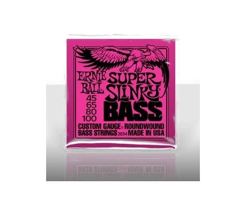 Ernie Ball P02834