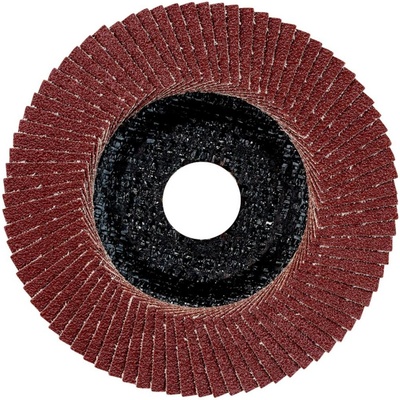 Metabo Lamelový brúsny kotúč 22.23 mm 624395000 10 ks