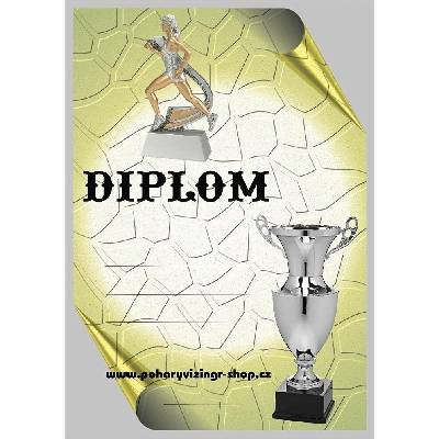 VIZINGR Atletika žena diplom A4 č.36