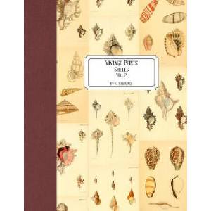 Vintage Prints: Shells: Vol. 2 | E. Lawrence (ISBN: 9781727183016)