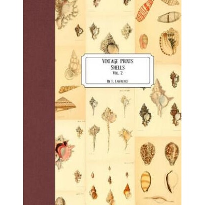 Vintage Prints: Shells: Vol. 2 | E. Lawrence