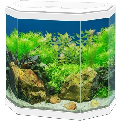 Ciano Аквариум Ciano Aqua 30 - бял (7422)