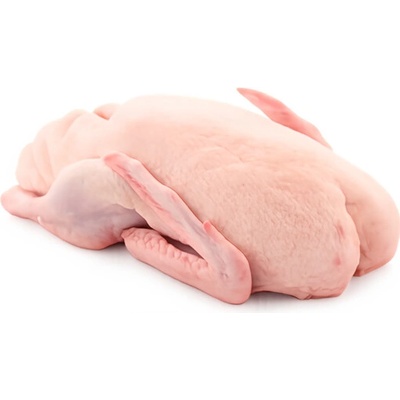 Vodňanská drůbež Kachna bez drobů, mražená 2.3kg – Zboží Dáma
