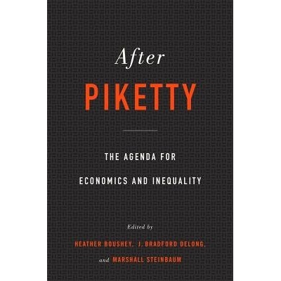 After Piketty - The Agenda for Economics and InequalityPaperback / softback