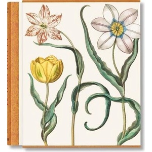 Besler. The Garden at Eichstätt | Littger, Klaus Walter, Werner Dressendörfer (ISBN: 9783836594332)