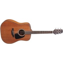 Takamine GD11M