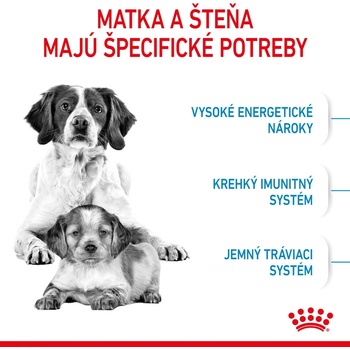 Royal Canin Starter Mother&Babydog Medium 1 kg