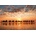 Educa - Puzzle Golden sunset on Cable Beach, Australia - 1 000 piese