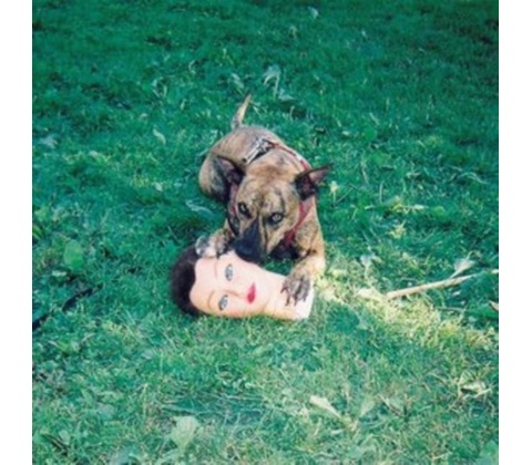 Cody - Joyce Manor CD