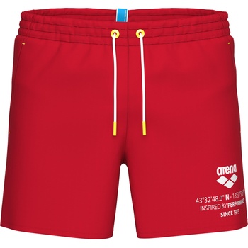 arena Graphic beach short s