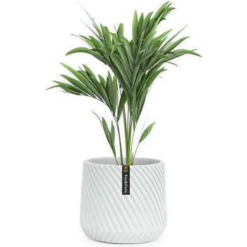 Image 1 of Blumfeldt PP-LINE-S