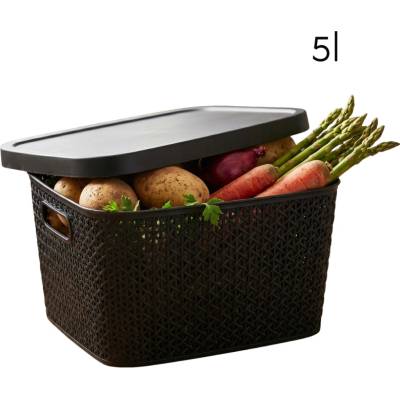 Altom Multifunkčný kôš s vekom, úložný box s vekom 5,5 l čierny