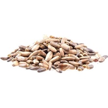 ASO Zdravý život Ostropestřec mariánský semínko BIO 1 kg