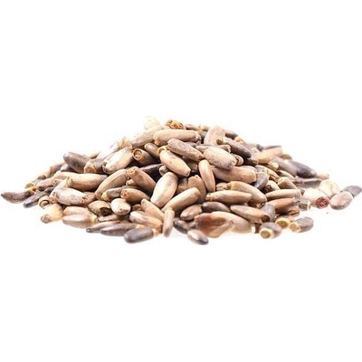 ASO Zdravý život Ostropestřec mariánský semínko BIO 1 kg