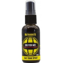 Nutrabaits Sprej 50ml Pineapple & N-Butyric