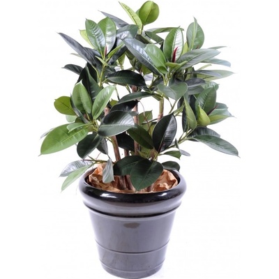 Luxusní umělý strom Ficus Elastica Bush, 90cm