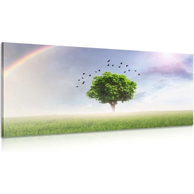 Obraz osamělý strom na louce - 140x70