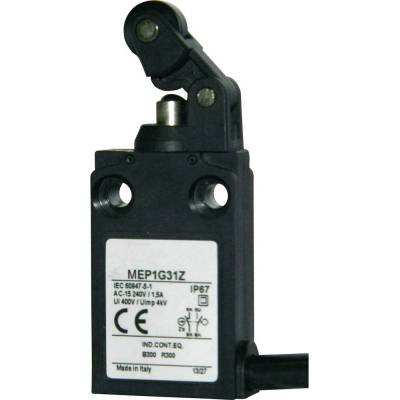 Panasonic MEP1G31Z MEP1G31Z koncový spínač 24 V 5 A páka s rolnou/simulovanou rolnou IP67 1 ks
