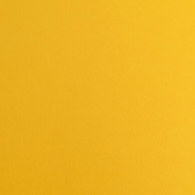 Fabriano Картон Elle Erre, 70 x 100 cm, 220 g/m2, № 103, охра (46470103/10_AVANA)