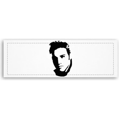 Fotoobraz 150x55 cm panorama Elvis