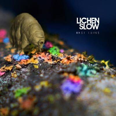 Lichen Slow - Rest Lurks (Limited Edition) (Orange Coloured) (LP) (5051083185431)