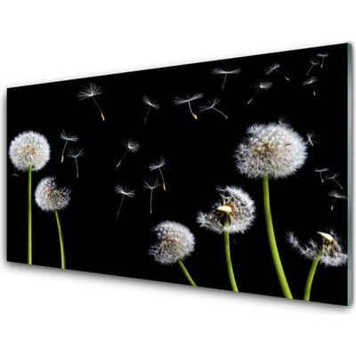 Obraz na skle Pampeliška 100x50 cm