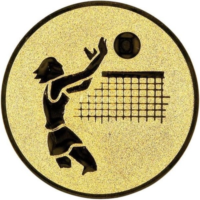0336 Emblém volejbal