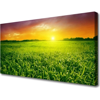 Obraz na plátně Obilí Pole Východ Slunce 100x50 cm