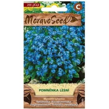 Semená Woodruff, modré, 200 ks.