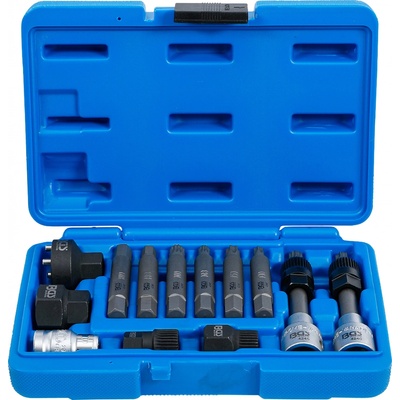 BGS technic Hlavice na volnoběžky alternátorů, sada 12 ks - BGS 4246