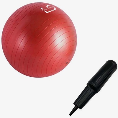Line Sport Gymnastický míč s pumpičkou 55 cm