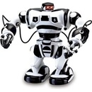 IQ Models RC robot ROBONE