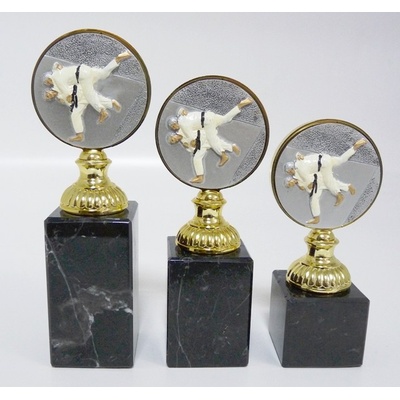 VIZINGR Judo trofeje 47-FG004 47-FG004/22 cm