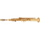 Bacio Instruments BSS-100