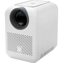 HP CC180W