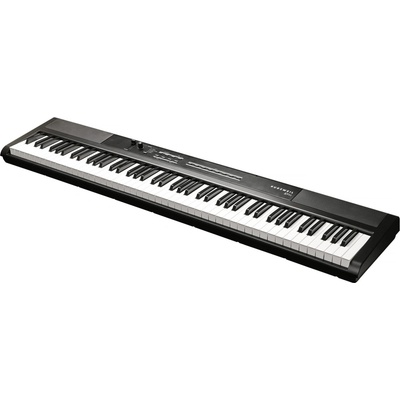 Kurzweil Ka S1