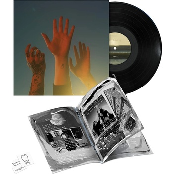 BOYGENIUS - THE RECORD, LP