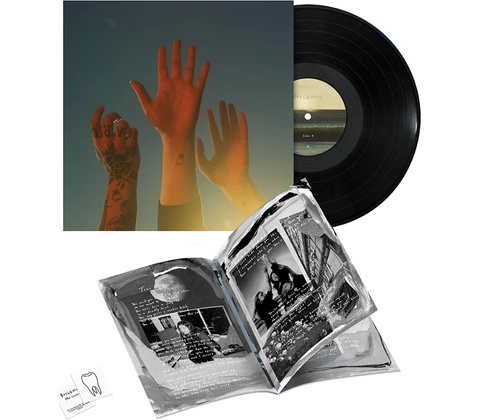 BOYGENIUS - THE RECORD, LP