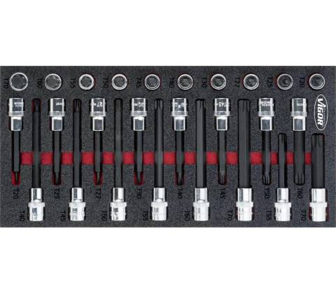 VIGOR V5095