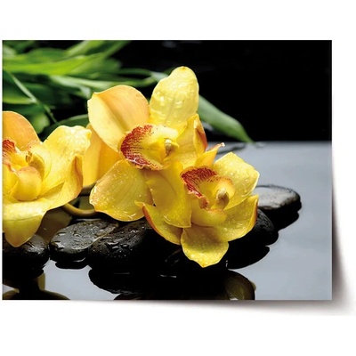 Sablio Plagát Žlté Orchidey - 60x40 cm