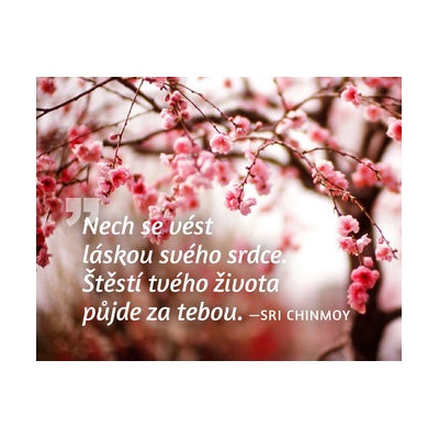 Magnet na lednici Nech se vést láskou...