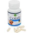 Colafit 4 Max Forte na klouby pro psy 50 tbl