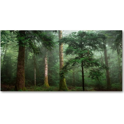 Foto obraz fotografie na skle Hmla v lese 100x50 cm