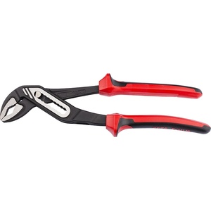 Ceta Form 15095