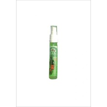 Dentamint ústní sprej malý 27 ml