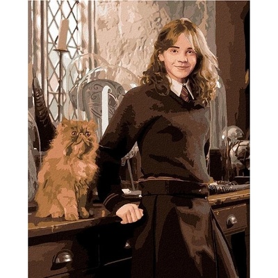 zuty Malování Podle Čísel Hermiona S Křivonožkou V Učebně Harry Potter 40 x 50 Cm Plátno Rám